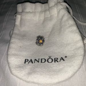 Authentic pandora charm